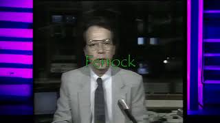 TELEFLASH (19/10/1990)