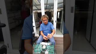 UNBOXING [2]..... ikan cupang...🐟