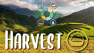 The Exponential Harvest Strategy - Harvest