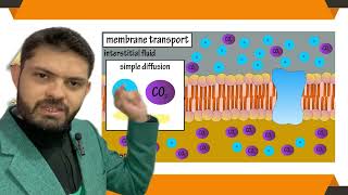 Types of Transport Across Cell Membrane | Passive & Active Transport | Cell Physiology Explained