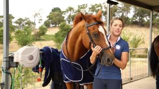 Features of the Rambo Micklem Bridle