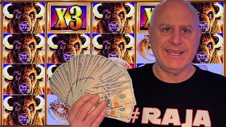 Just Won My Largest Buffalo Gold Jackpot of the Year!