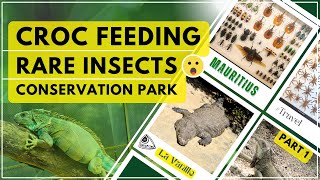 Mauritius La Vanille Nature Park Part 1 | Wildlife Tour, Iguanas, Crocodiles, Insectarium & more