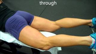 Lying Leg Curl Form