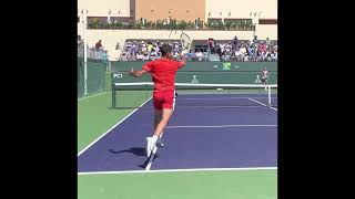 Carlos Alcaraz, Inside In Forehand, & slow motion
