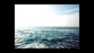 Mr Probz " Waves" cover
