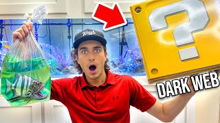 I Found A Mystery Fish Box Off The Web