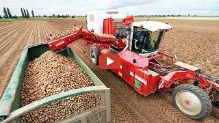 How To Harvest Potatoes-Most Modern Potatoes Harvesting Machine.