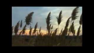 A short film about the Wandering Galley