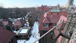 doggies loving the snow out in the backyard, seen from way up on the roof… 2.14 26