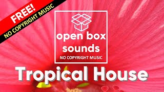 🌺 MBB – Summer [No copyright music instrumental]
