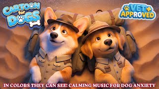 Cartoon for Dogs Vision 💤🐶 Anxiety Relief & Wellness TV for Dogs | Pink Noise Only Dogs Can Hear