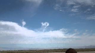 Cheap-o Profile F-22 - 18.8in wingspan RC plane