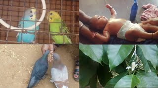 ಅಮ್ಮನ ಮನೆಯಲ್ಲಿ ಒಂದು ದಿನ - ಮಗುವಿಗೆ ಎಣ್ಣೆ ಮಸಾಜ್ ಹೇಗೆ ಮಾಡೋದು?