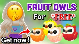 How to Get New Fruit Owls for *FREE* in Adopt me (100% Working)