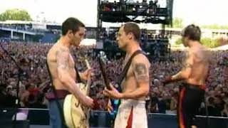 Hed Hot Chili Peppers 🎸 Californication