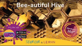 VR Fly With A Bee and Visit the Hive | 360 | VR |