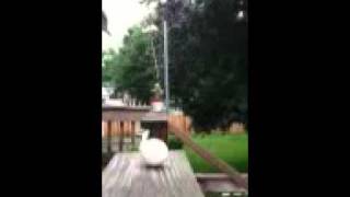 Aaron Shoots an Egg with an Airsoft Gun