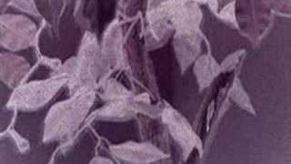 Smart dust, electro magnetism