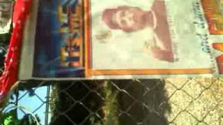 R.I.P. ROCKET !!!!!!!!!!!!!!!!!!!!!!!! (N.H.B. Rollin 20 Bl27ds)