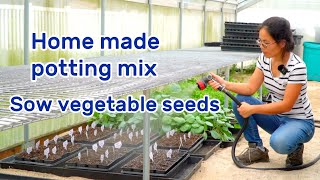 EP 8 Use home made potting mix to start vegetable seeds