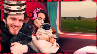 Ultimate Lofi PewDiePie