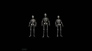 For You - Tweaking Freaks