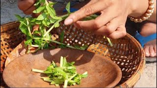 Primitive Cooking in wild - Eating delicious - Awesome cooking in wild | Yummy Cooking