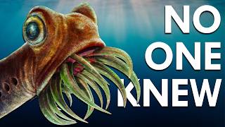 What On Earth Were The Conodonts?