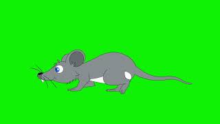 Cartoon Rat Walking Animation Green Screen l HD