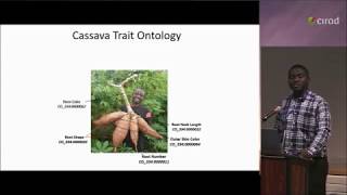 Role of ontology in data management in Cassava - A. Agbona