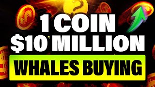 Crypto Whale Are Buying THIS One Altcoin! Why?