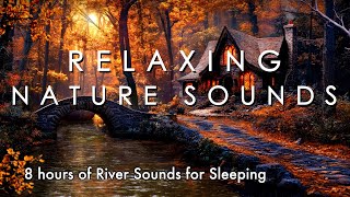 Relaxing Nature Sounds in Fall 🍁 8 hours of River Sounds for Sleeping 💦