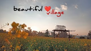 Beautiful Village vlog।। BALRAMPUR