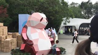 Chengdu: A Vlog #6
