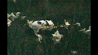 Movements - "Where I Lay" (Official Lyric Video)