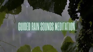 1 Hour Guided Rain Meditation for Relaxation , Stress Relief, Recovery, Anxiety Relief and Serenity