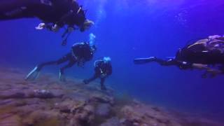 Whats Diving In Gran Canaria Like?! - Blue Water Diving