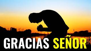 Oración De Hoy ¦ Toda Mi Gratitud Hacia Ti Señor ¦ #prayerday #oraciondelamañana