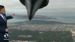 Bird Interrupting Live Weather News