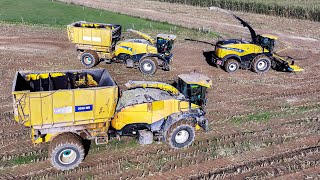 XXL ENSILAGE 2024 | UNIQUE IN THE WORLD | DIFFICULT CONDITIONS