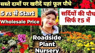 दिसंबर में नर्सरी की सैर और कुछ शॉपिंग बिल्कुल कम दाम में |December nursery tour.shopping.winter pla