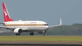 Qantas Retro Roo