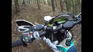bush go beach imbil ride 13.7.24 part 5