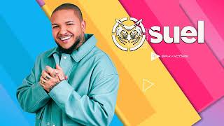 SUEL - SAMBA BRASIL 2025 - SÃO LUÍS-MA