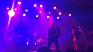 Another Face (Live) - Babylove & the van Dangos
