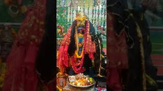 Shri Kali Devi Mandir Sirsa Live Arti