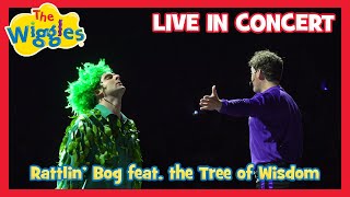 Rattlin' Bog feat. the Tree of Wisdom (Live in Concert)🌳 The Wiggles 🎶 Wiggly Big Day Out