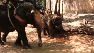 Trip to Thailand 2014