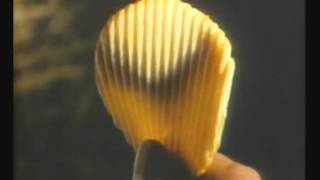 O'Grady's Potato Chips Commercial- 1984
